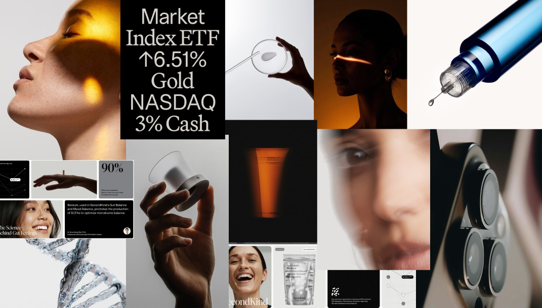 Moodboard de referências visuais